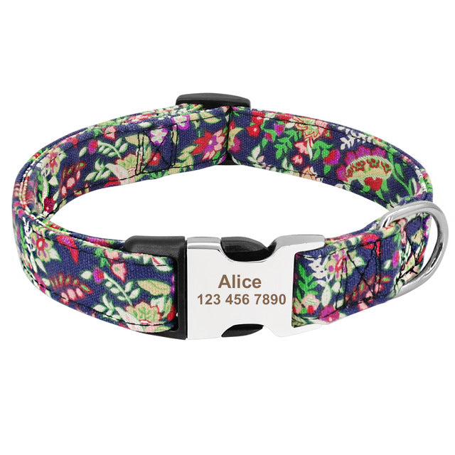 Best Custom Dog Collar
